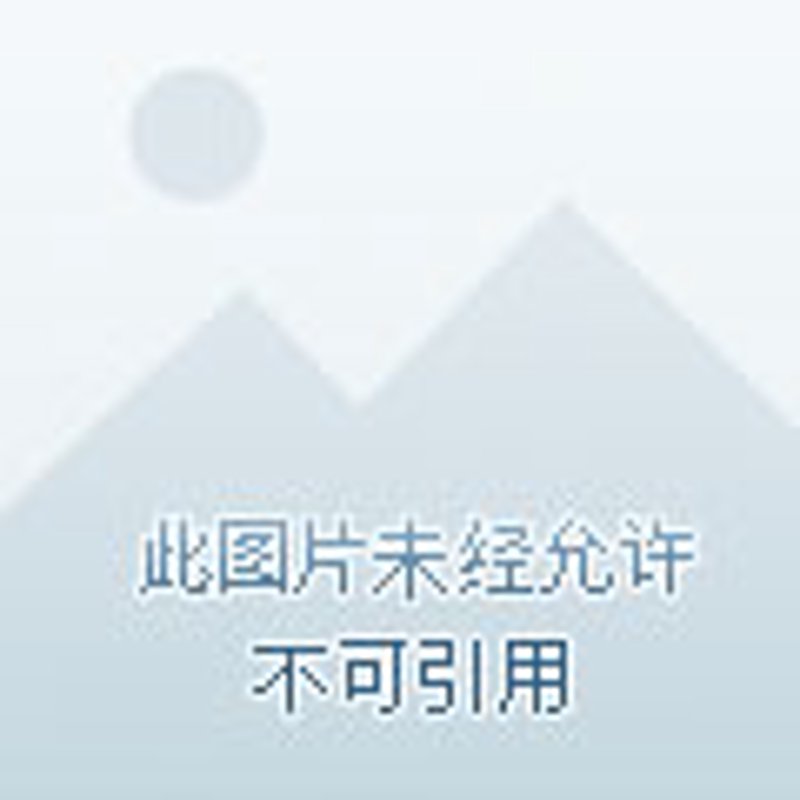 如何成为一名合格的大数据分析师？——通过获取证书提升职业竞争力